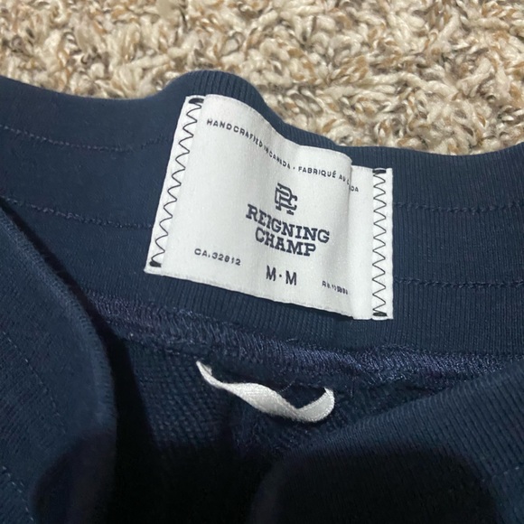 Men’s Medium Reigning Champ shorts - Picture 3 of 3